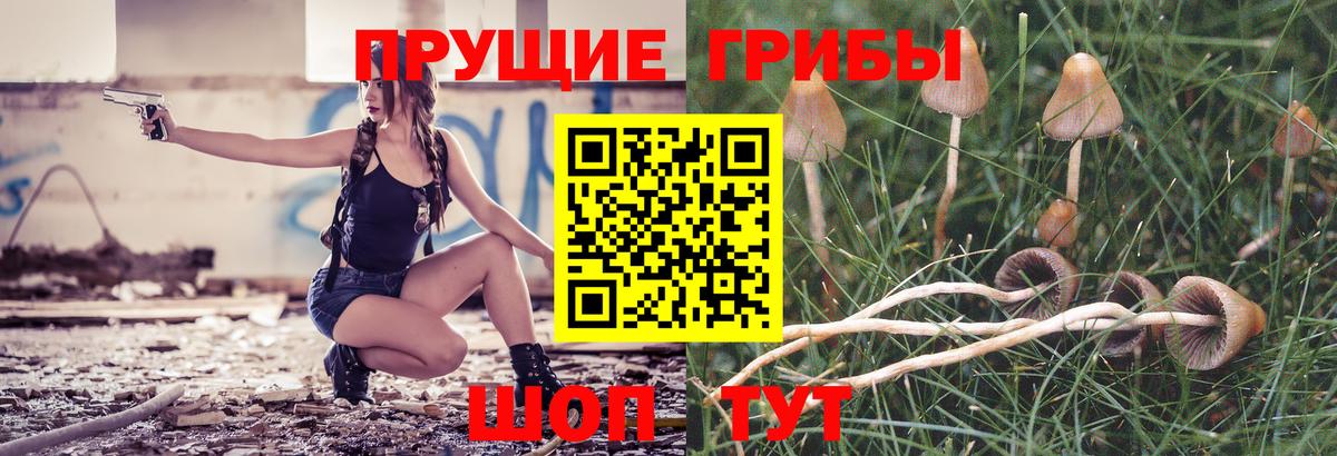 Псилоцибиновые грибы ЛСД  Вход с VPN  Урус-Мартан 