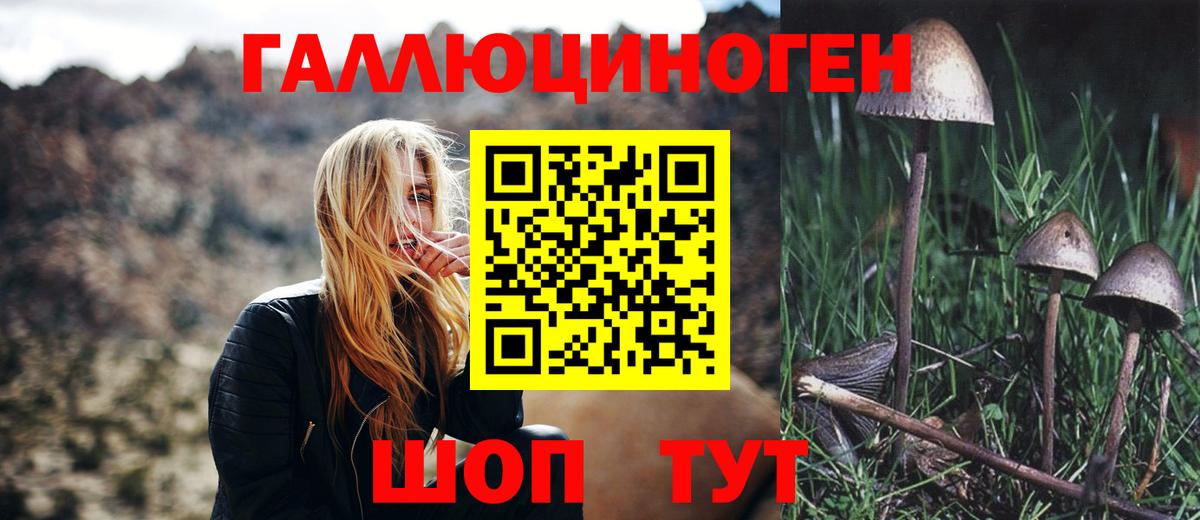 Галлюциногенные грибы Magic Shrooms Урус-Мартан
